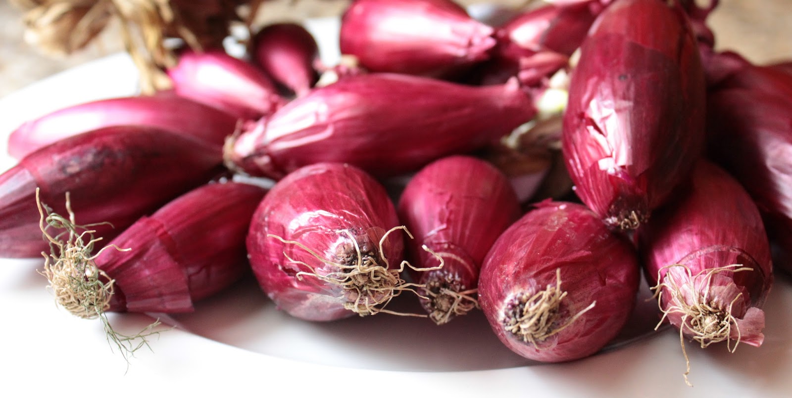 Tropea red onion -© photo Anna Bruno/Verdegusto