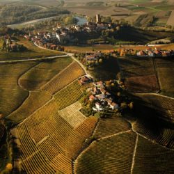 Paesaggio vitivivinicolo del Piemonte