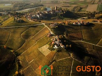 Paesaggio vitivivinicolo del Piemonte