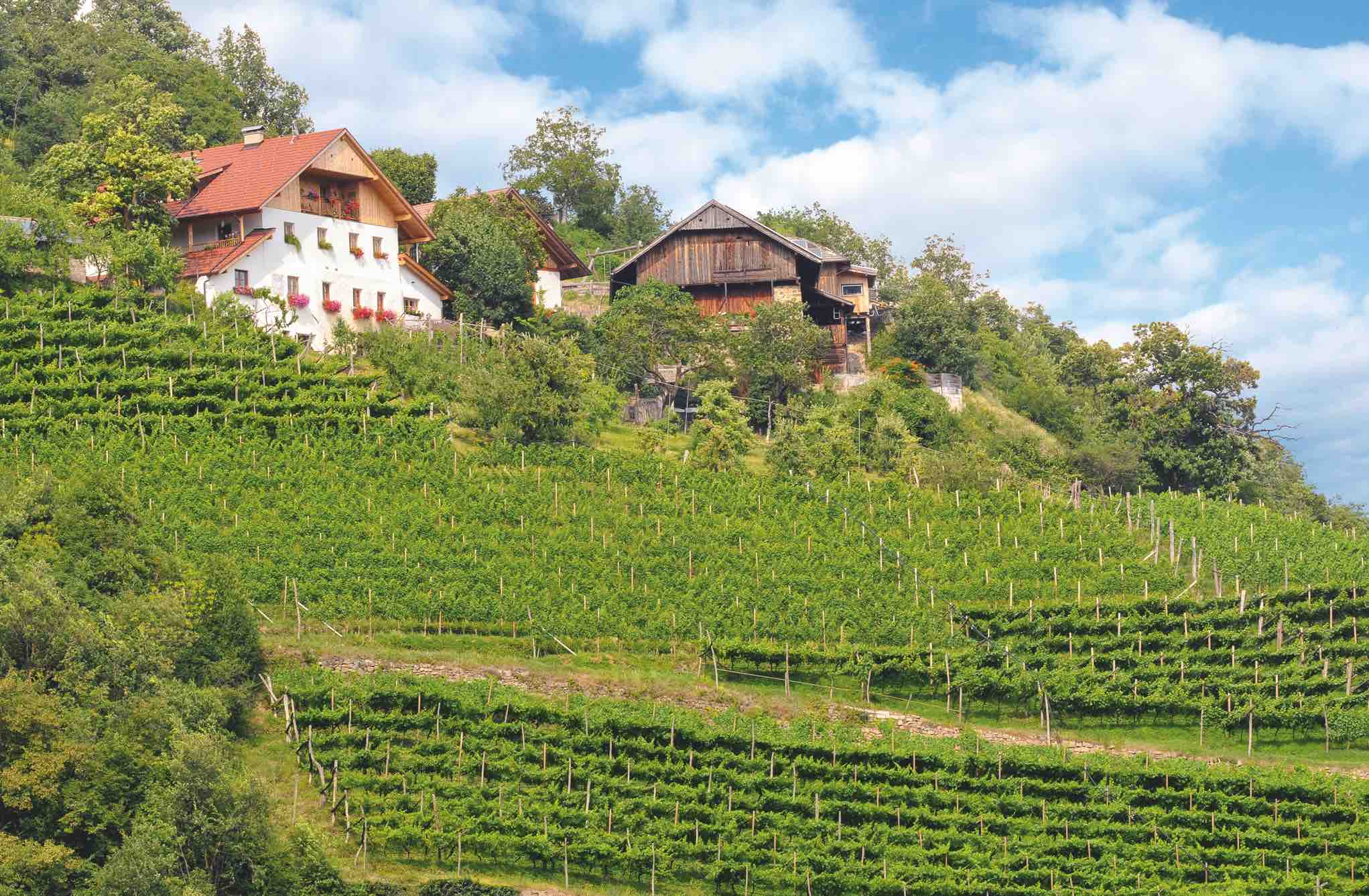 Autunno nei masi Alto Adige