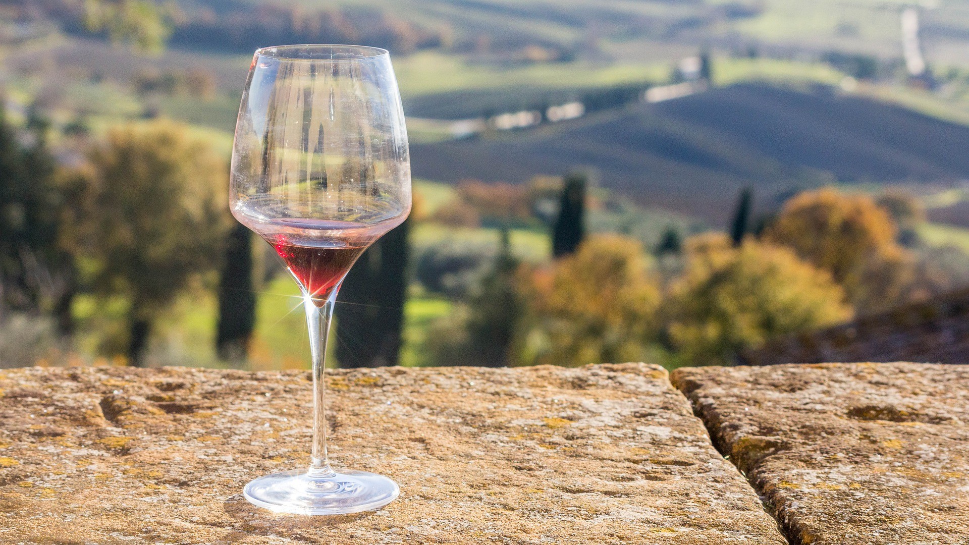 Glas Rotwein – Foto von Chetan L