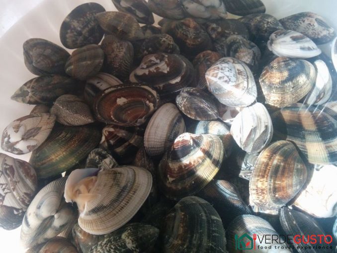 Vongole -©Foto Anna Bruno/VerdeGusto