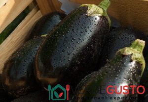 Melanzane -©Foto Anna Bruno/VerdeGusto
