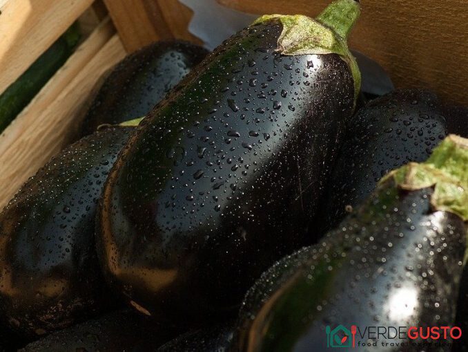 Melanzane -©Foto Anna Bruno/VerdeGusto