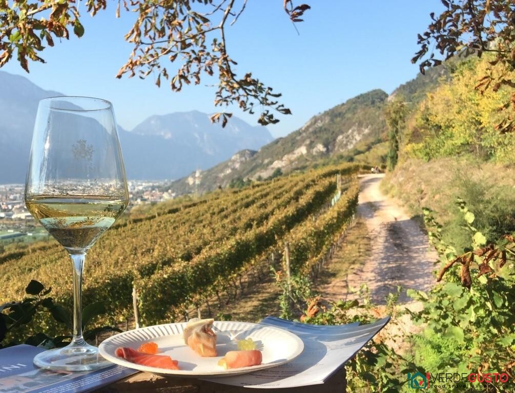 #trentinowinefest - Fototeca Strada Vino Sapori Trentino | Foto L. Campolongo