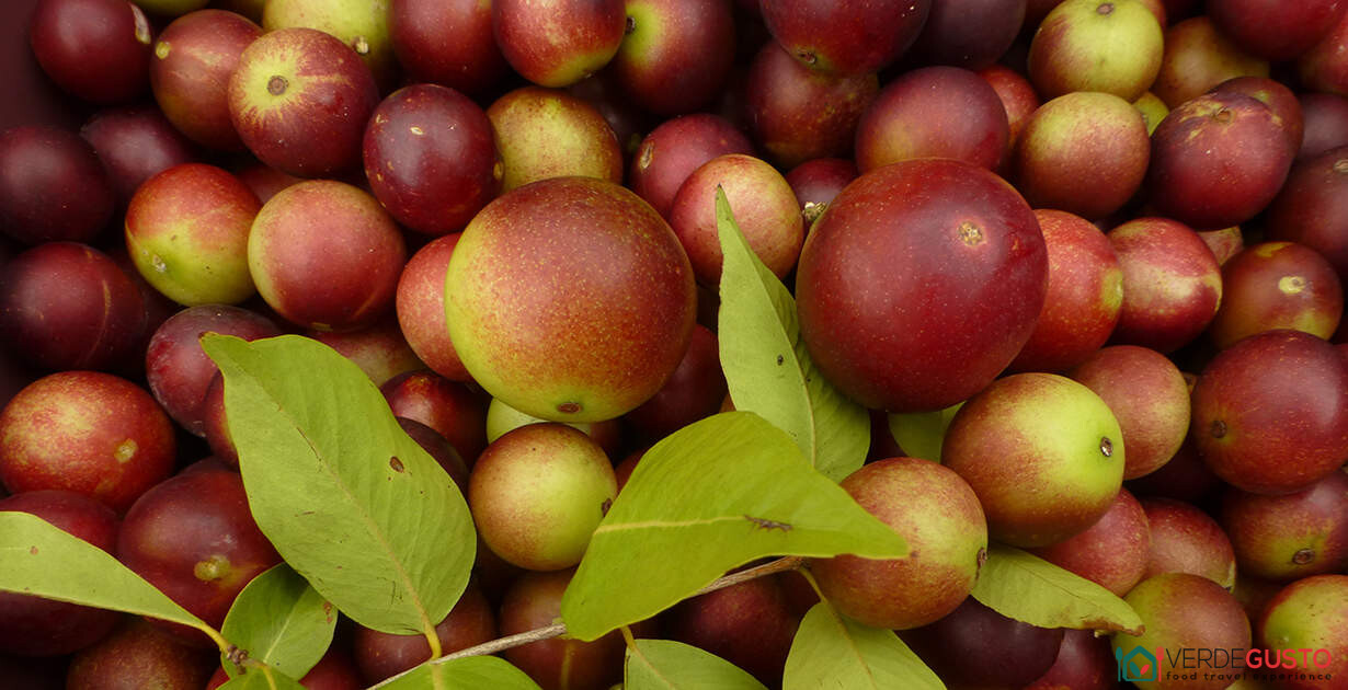 Superfrutti dell'Amazzonia