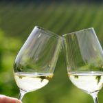 Vigneti aperti