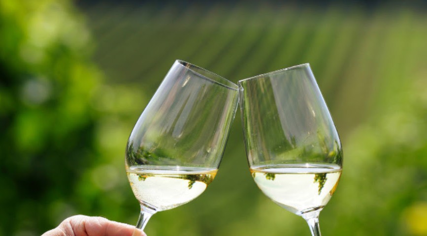 Offene Weinberge