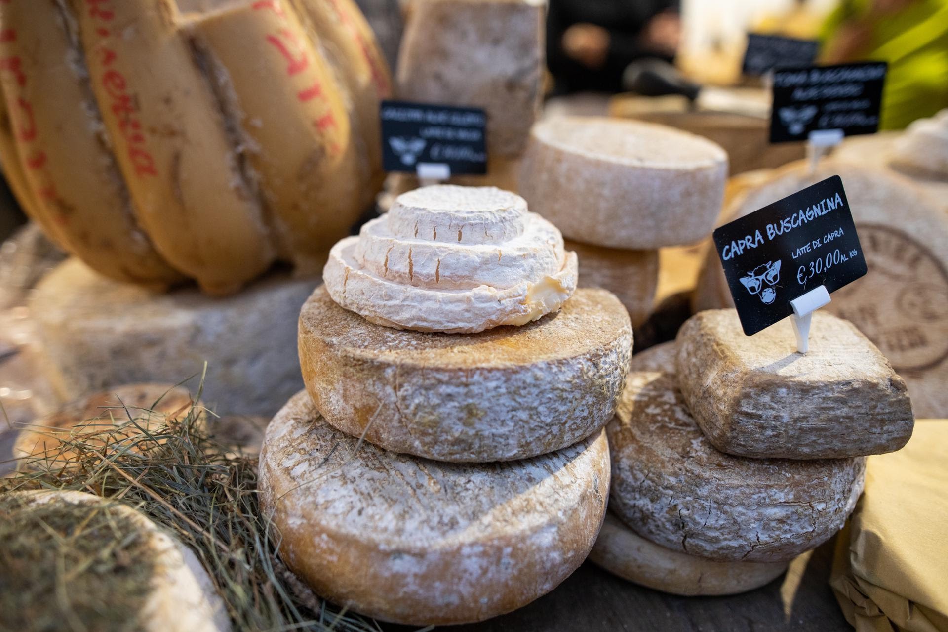Käse