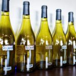 I vini dell'Idaho