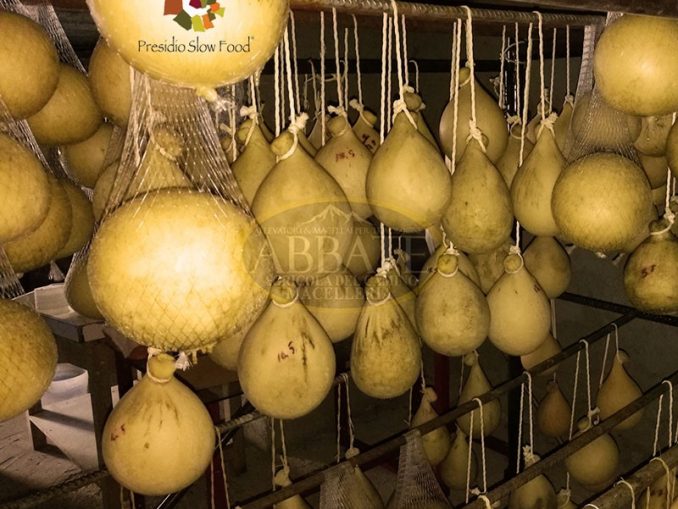 Caciocavallo Podolico della Basilicata