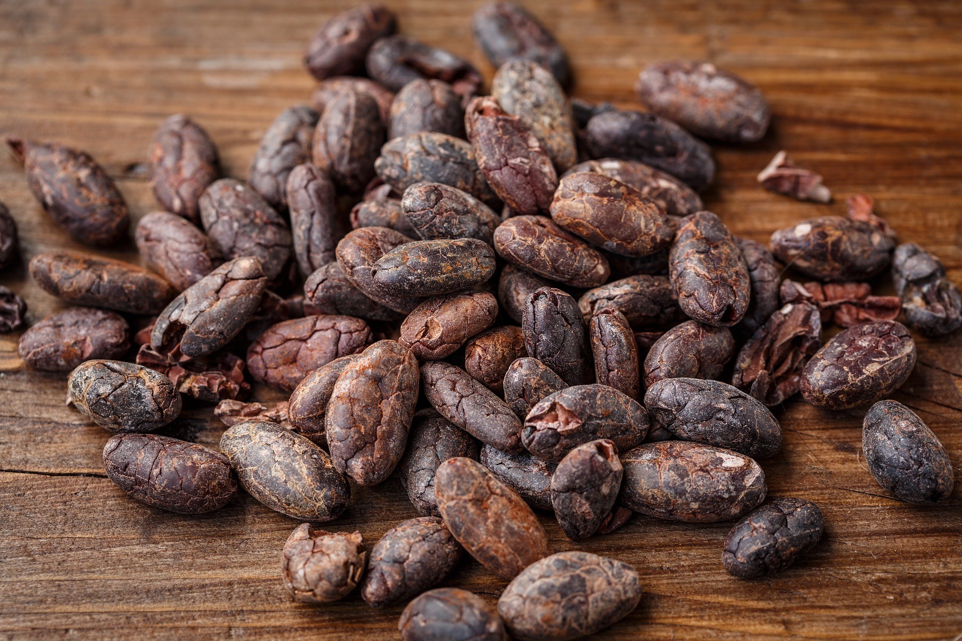 Fave di Cacao crudo - Foto di gate74