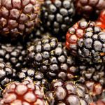 Boysenberries
