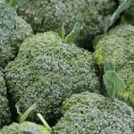 Broccoli - Foto di Jai79