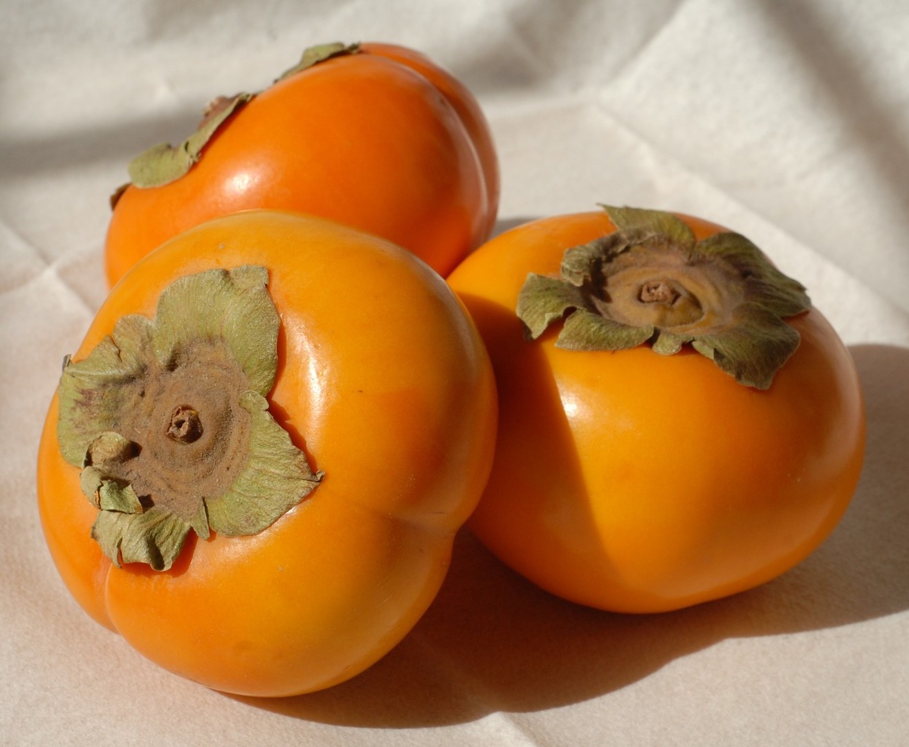 persimmon