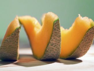 Cantalupo - Melone pane