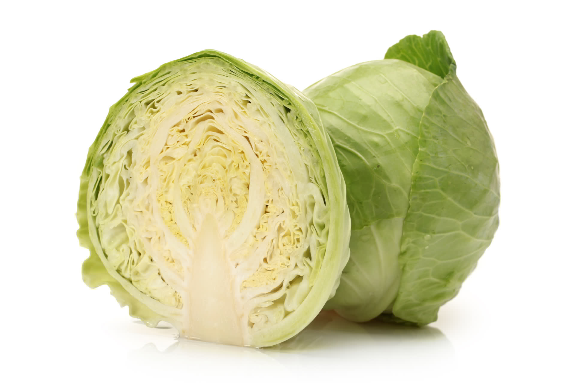 Cavolo Cappuccio