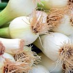 Spring onions