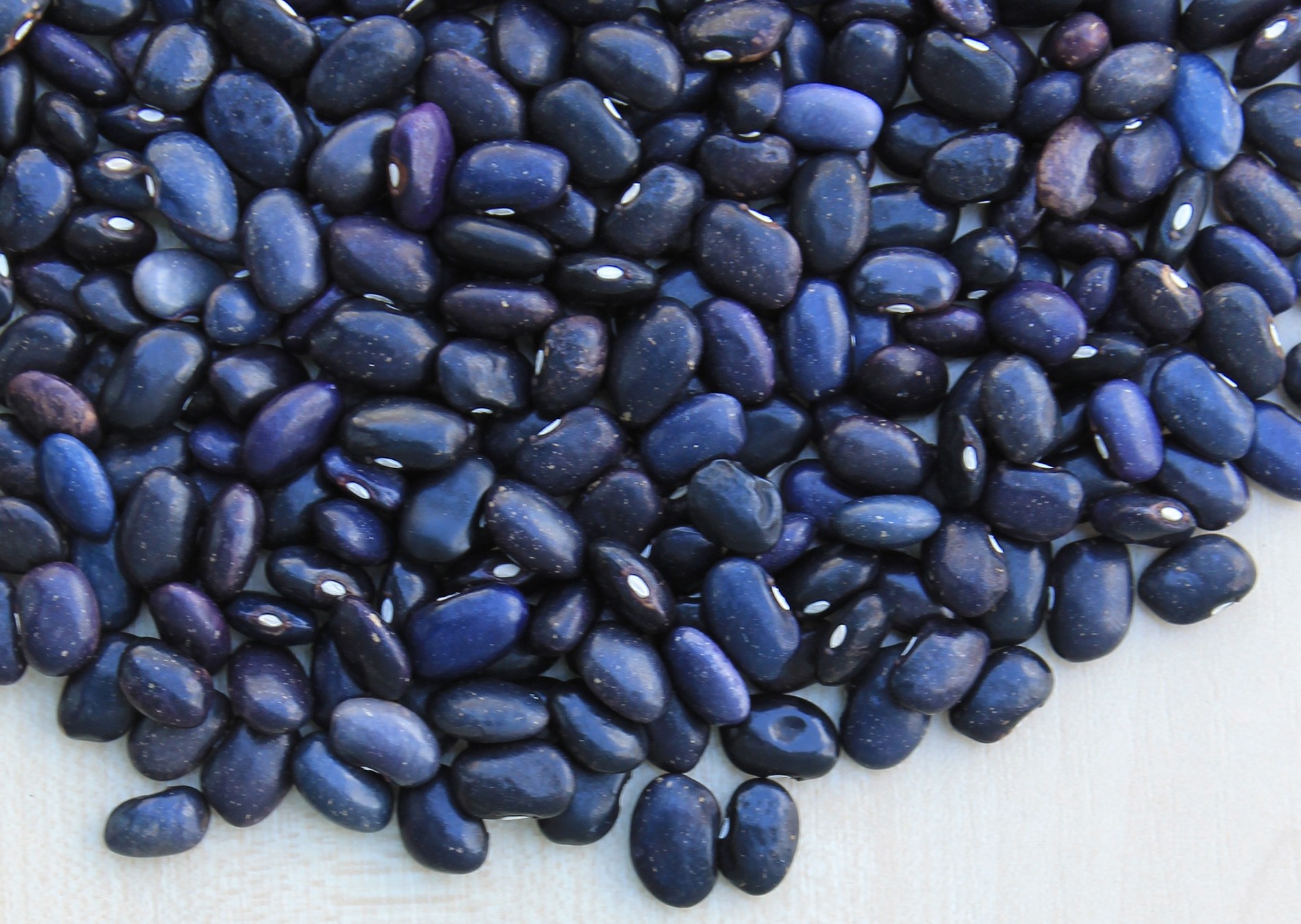 Fagioli neri