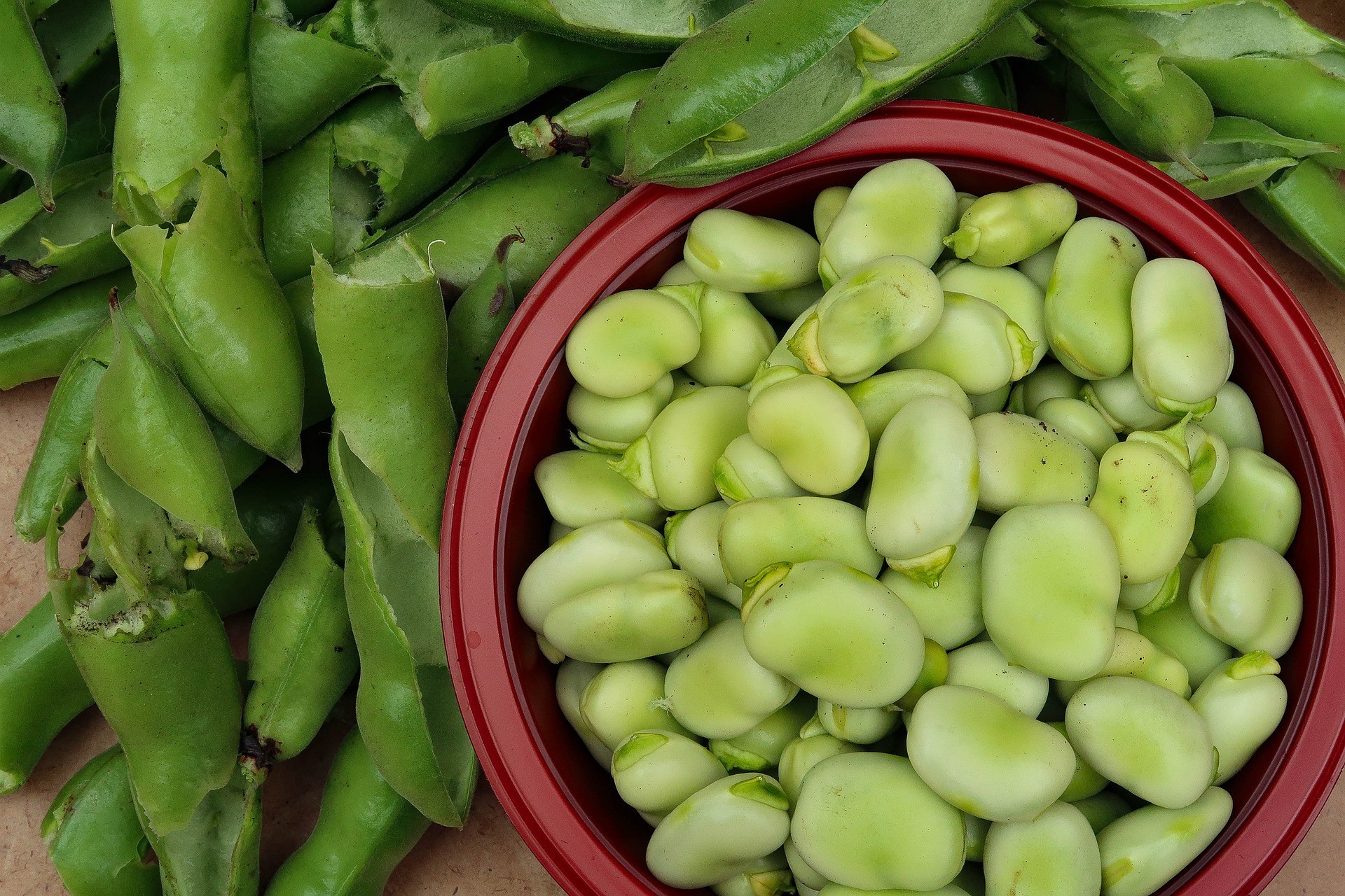 Fava beans