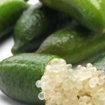 Finger Lime