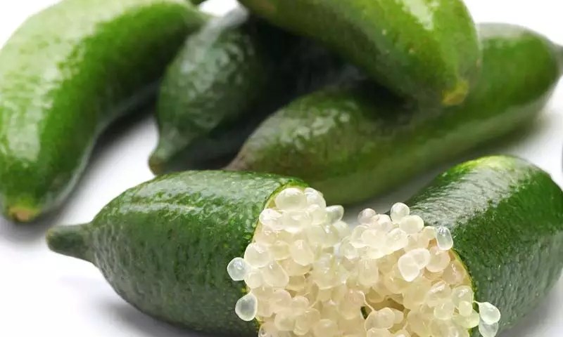 Finger Lime