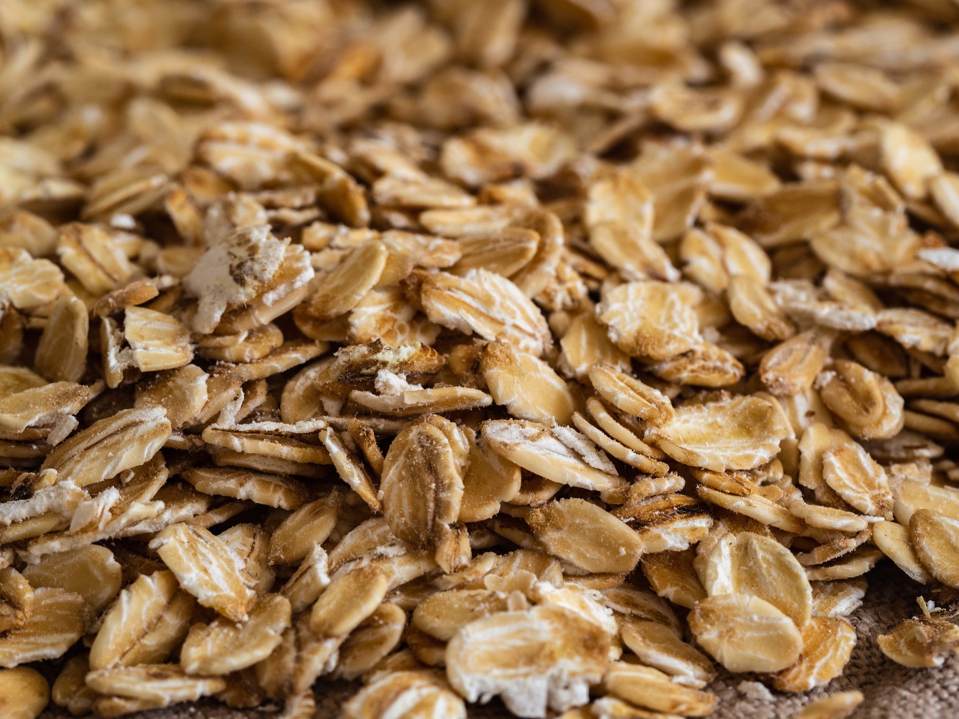 Fiocchi di avena - Foto di Martin Hetto