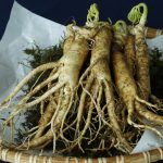 Ginseng - Foto di whaltns17