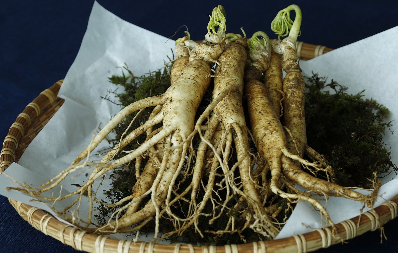 Ginseng - Foto di whaltns17