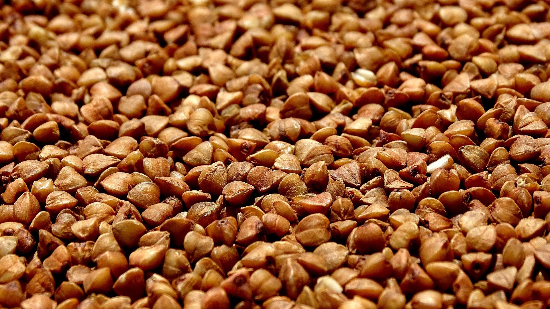Grano saraceno