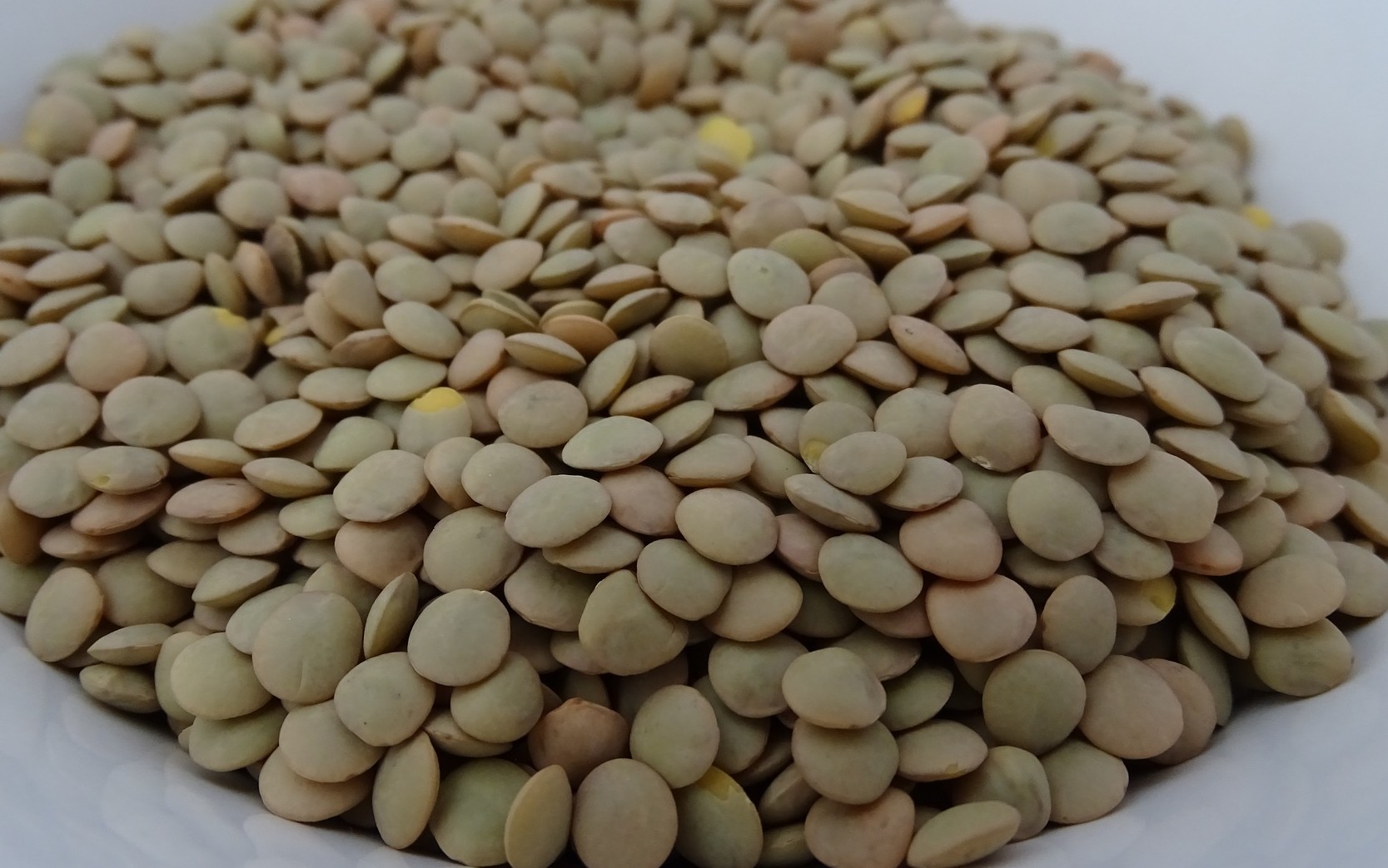 Lentils - Photo by Sandra Vélez