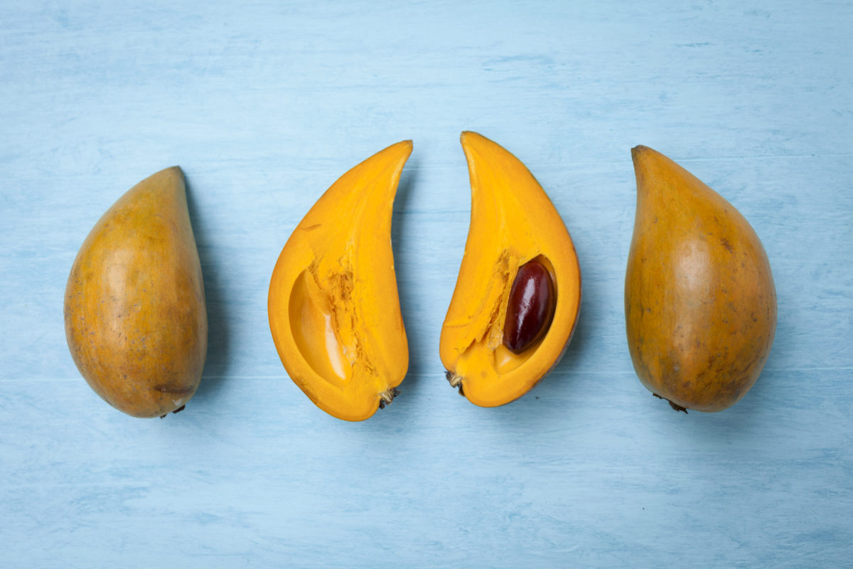 Lucuma