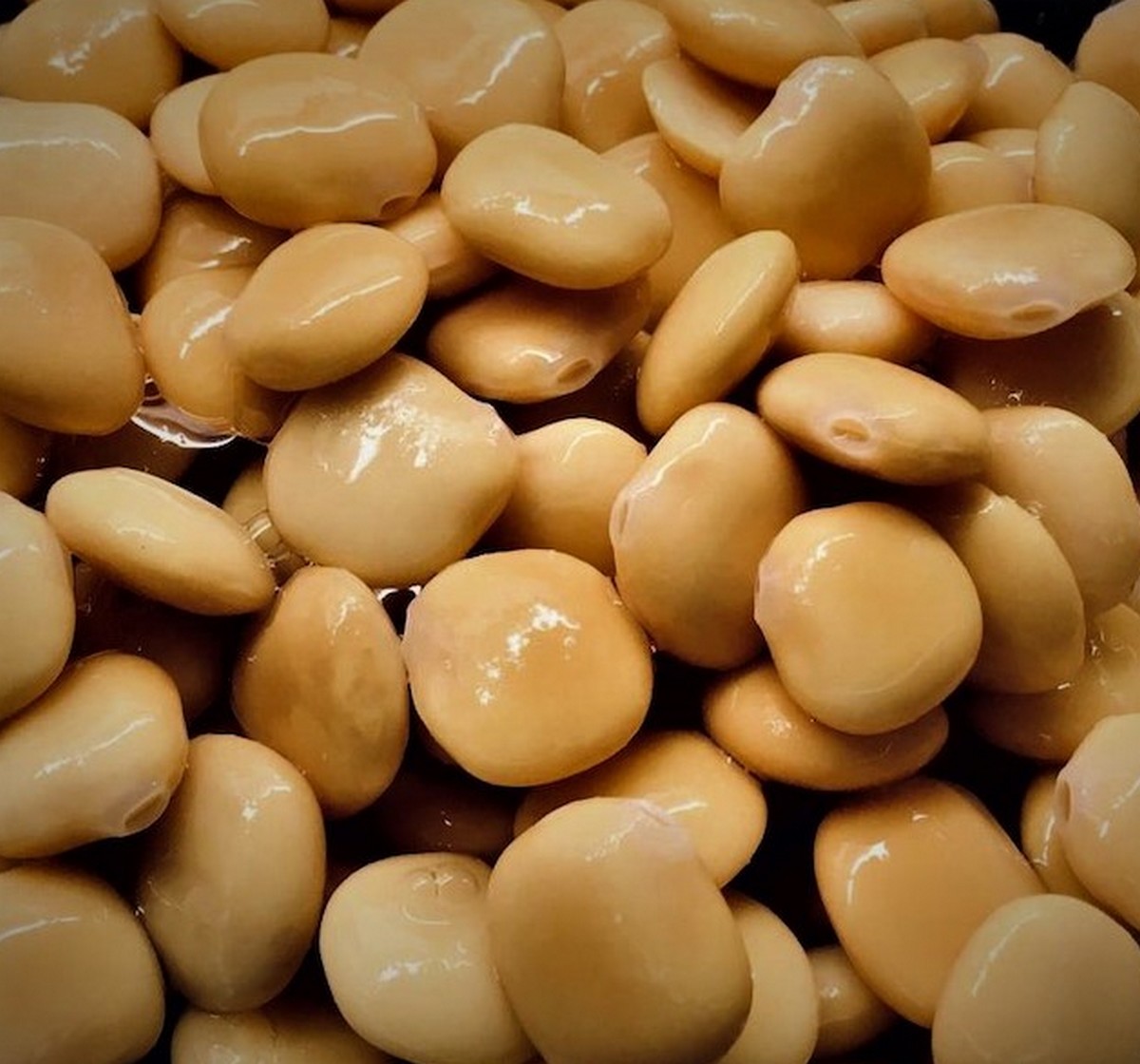 Lupins