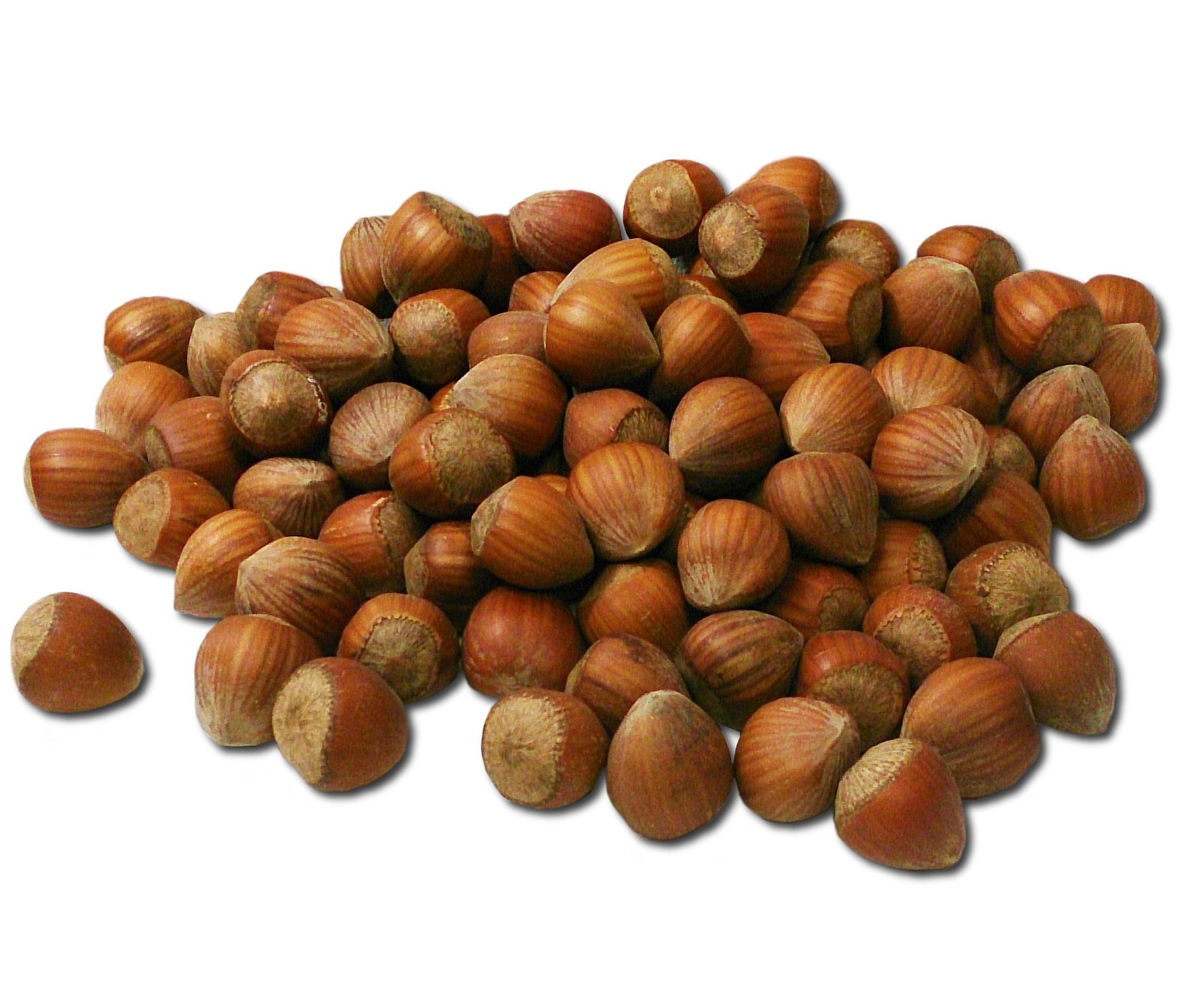 Nocciole