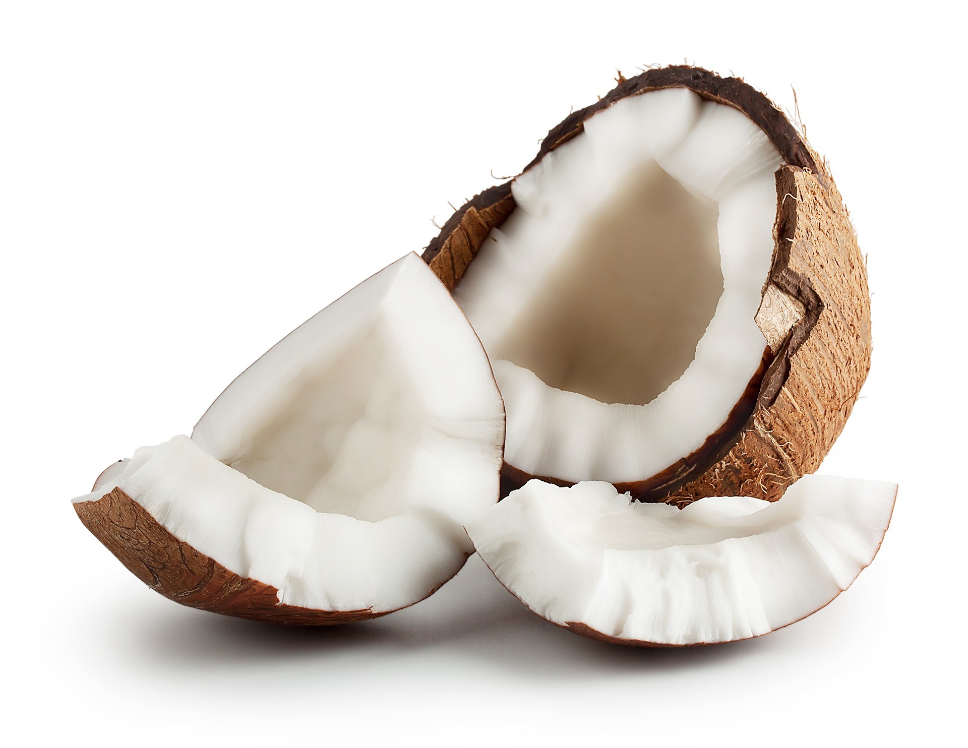 Noce di cocco