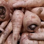 Pastinache - Foto di Peter Stanic