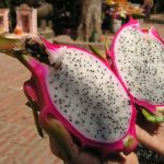 Pitaya