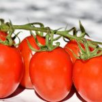 Pomodori - Foto di Capri23auto