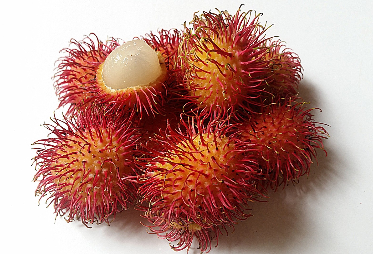 Rambutan