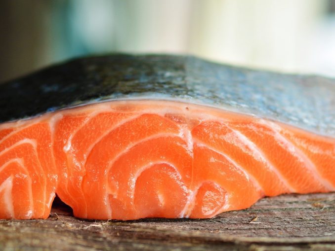 Salmone