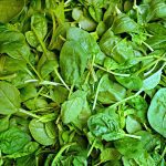 Spinaci