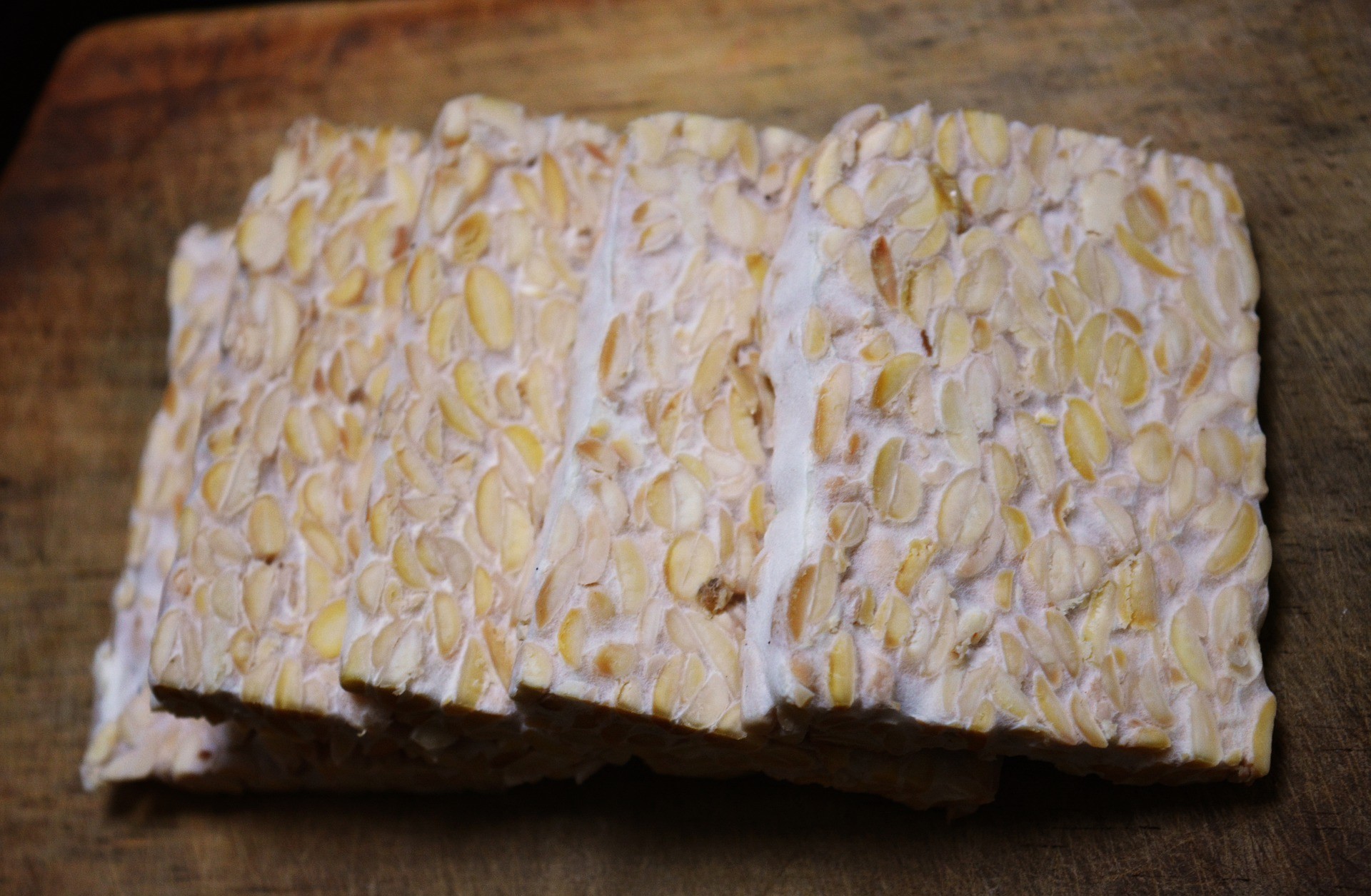 Tempeh - Photo by Mochamad Arief