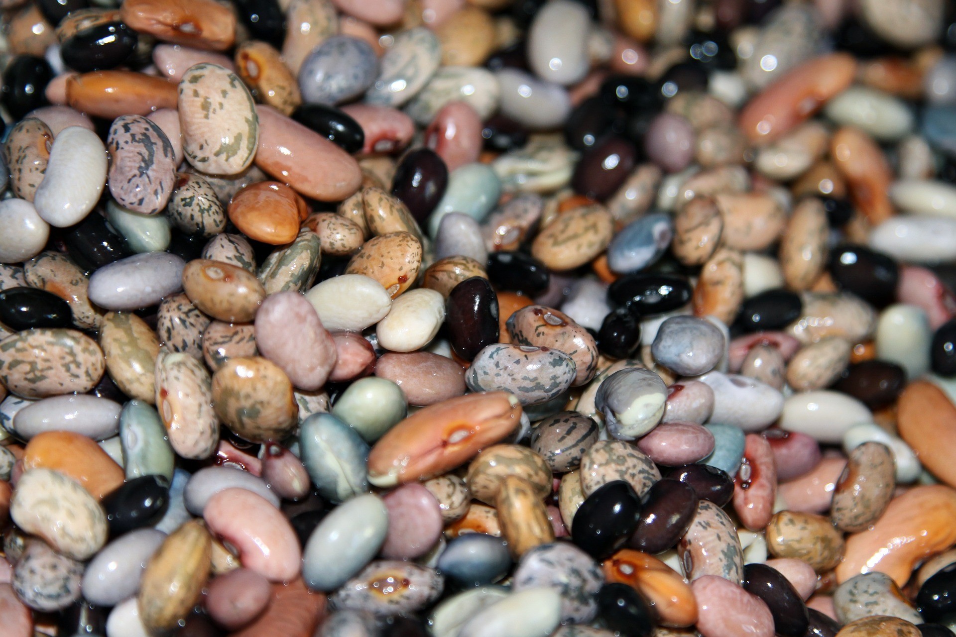 Varieties of beans