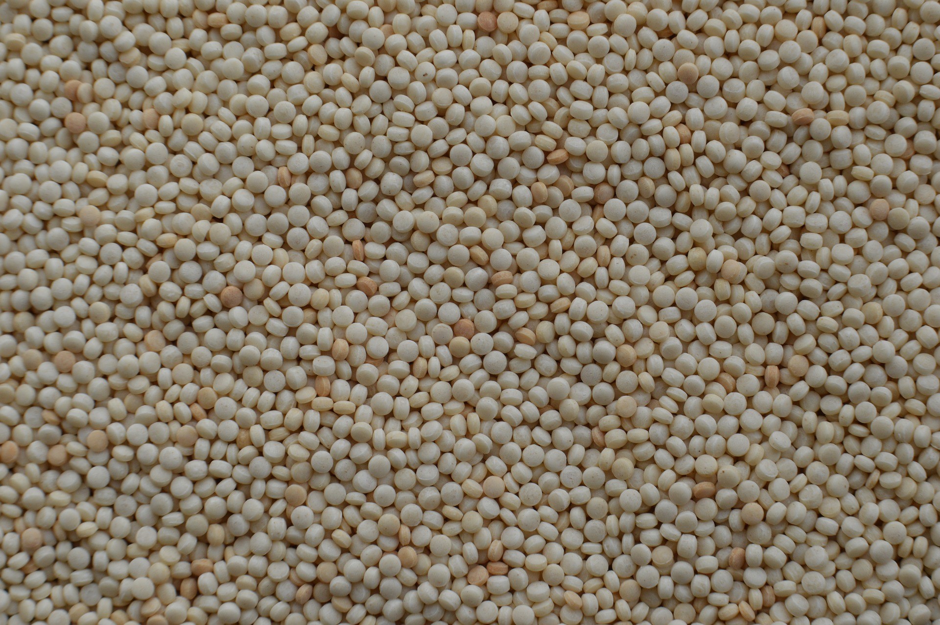 Cous cous israeliano - Foto di 3nafish