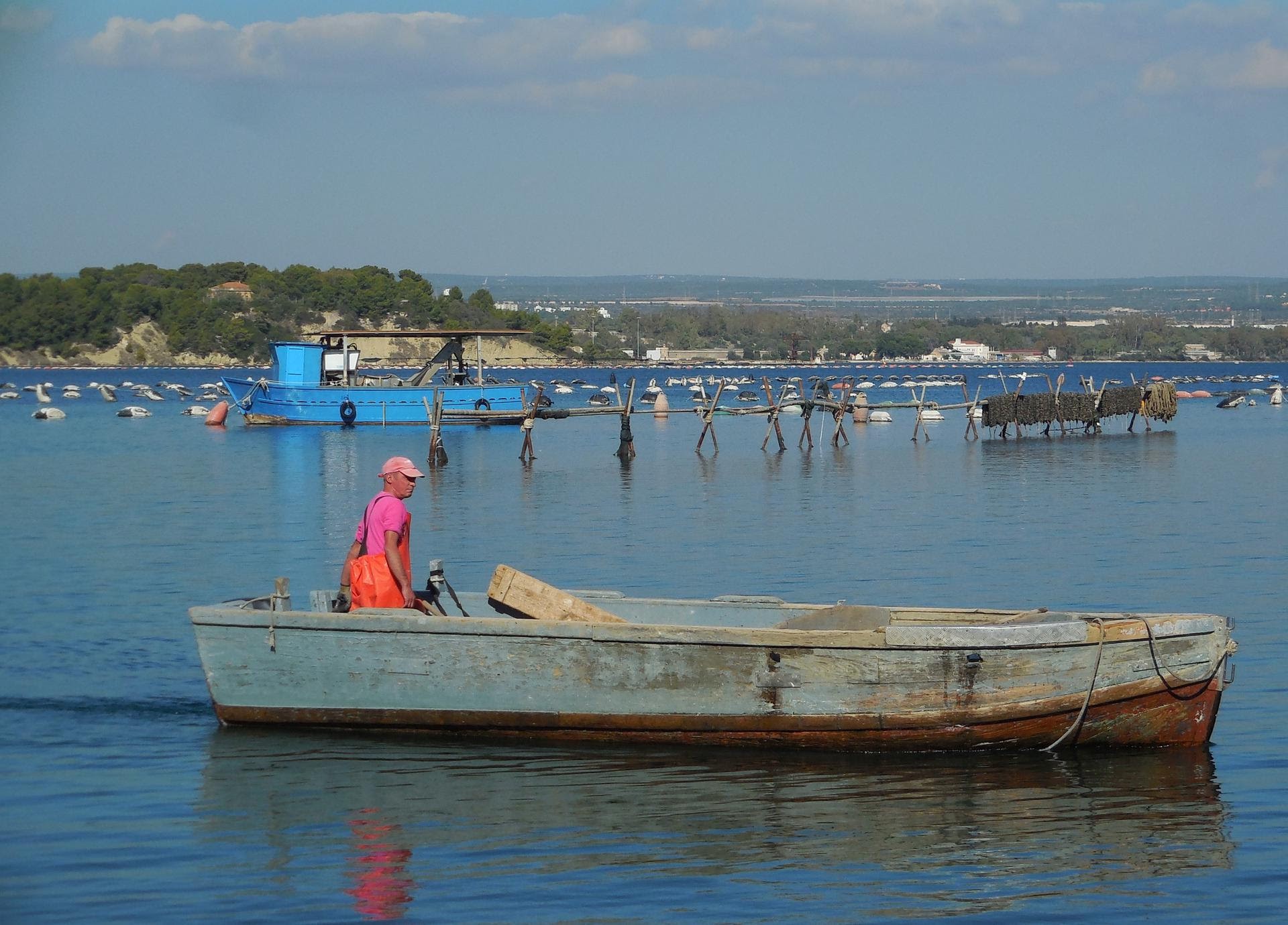 La cozza nera di Taranto, Presidio Slow Food - Foto di Marco Amatimaggio