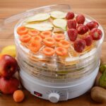 Secadores de alimentos