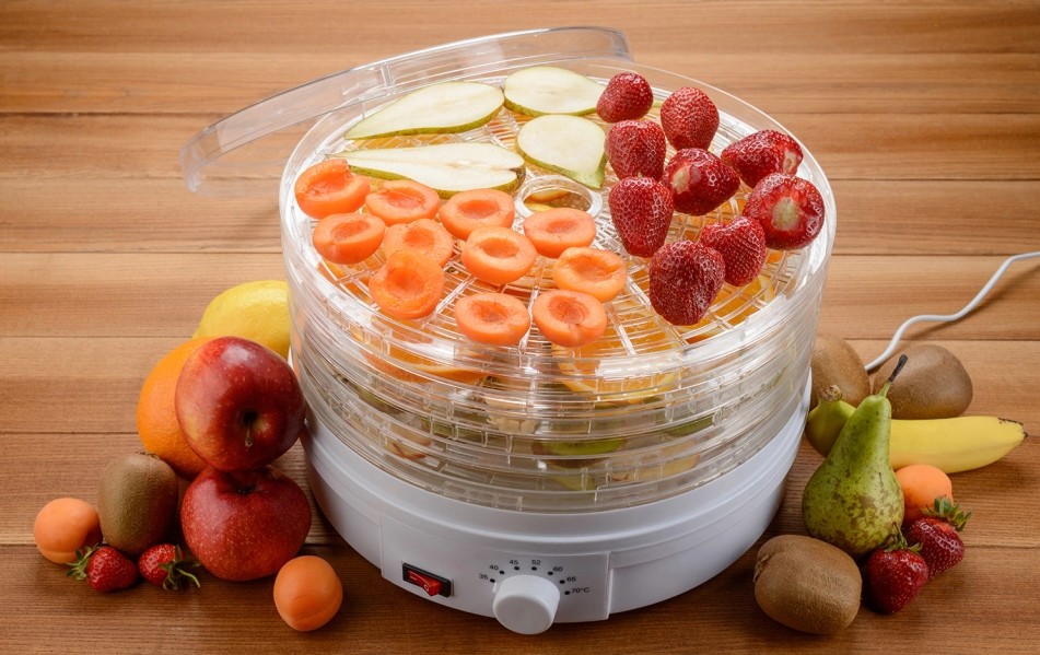 Secadores de alimentos