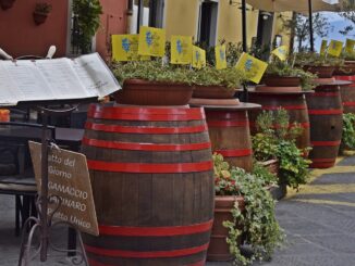 Festa del Vino a Montecarlo, Lucca