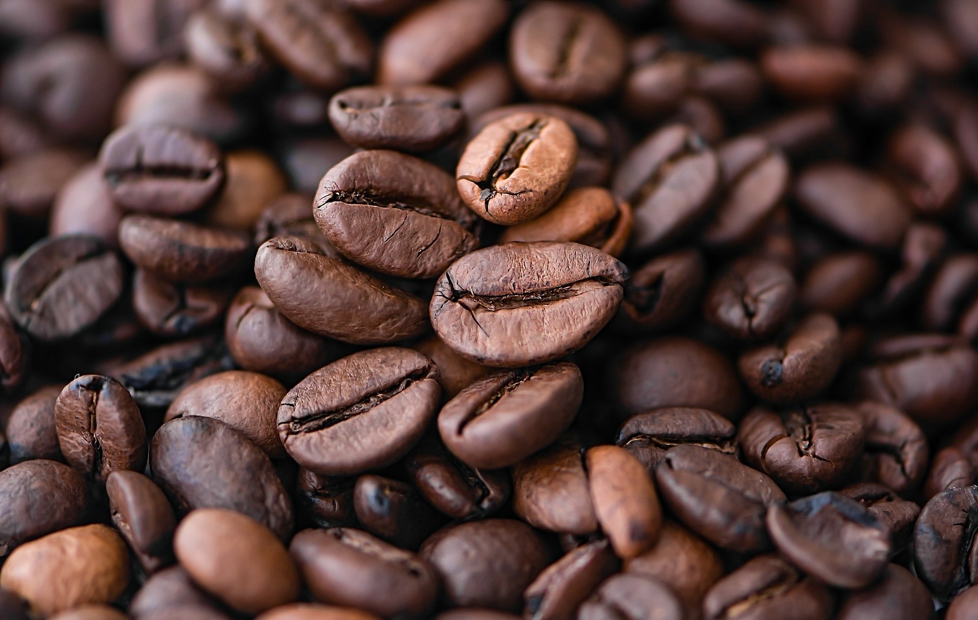 Chicchi di caffè - Foto di Ri Butov