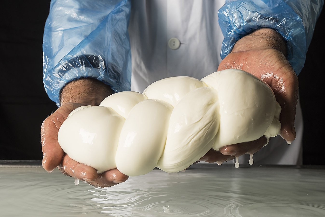 Capaccio Mozzarella
